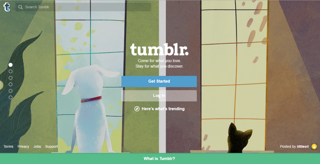 How to Blog on Tumblr